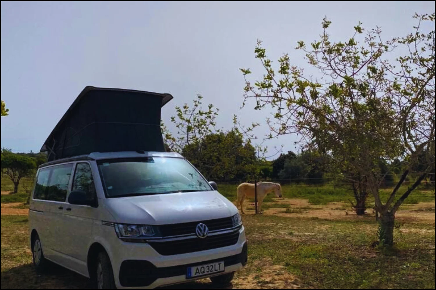 Discover Freedom of Van Life with versatile VW California